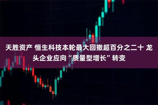 天胜资产 恒生科技本轮最大回撤超百分之二十 龙头企业应向“质量型增长”转变