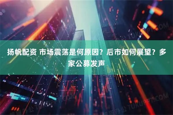 扬帆配资 市场震荡是何原因？后市如何展望？多家公募发声
