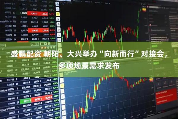 盛鹏配资 朝阳、大兴举办“向新而行”对接会，多项场景需求发布