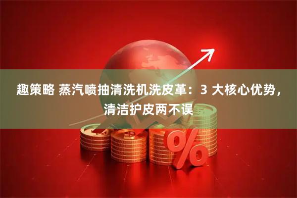 趣策略 蒸汽喷抽清洗机洗皮革：3 大核心优势，清洁护皮两不误