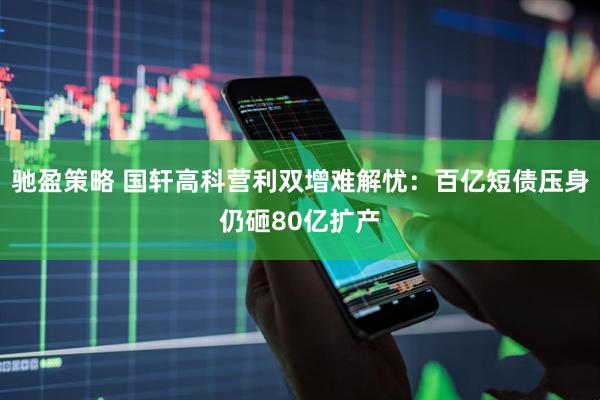驰盈策略 国轩高科营利双增难解忧：百亿短债压身仍砸80亿扩产